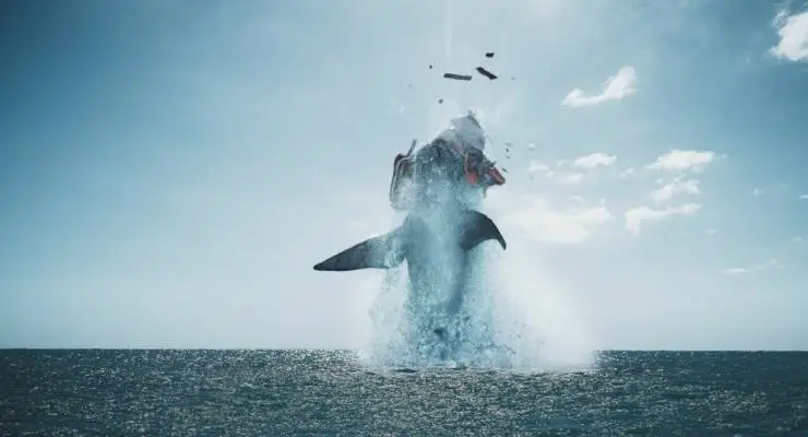 Мегалодон (2023) через торрент скачать Мегалодон (2023) фильм через торрент скачать