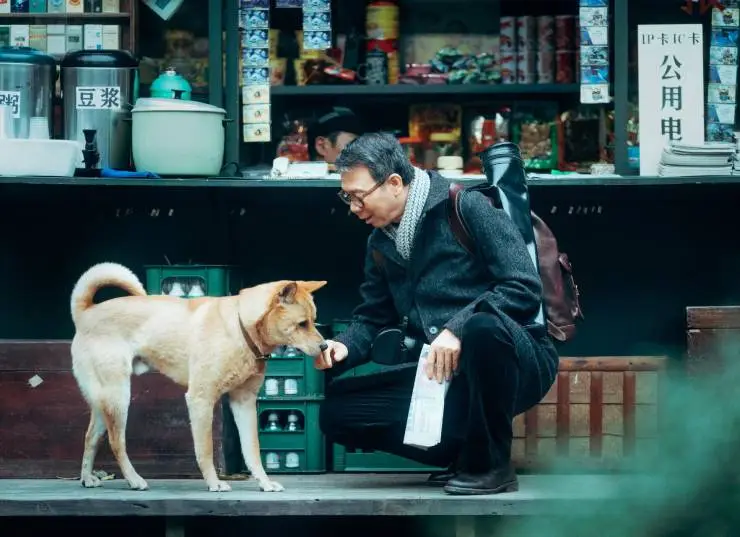 Мой Хатико (2023) через торрент бесплатно Мой Хатико (2023) фильм через торрент бесплатно