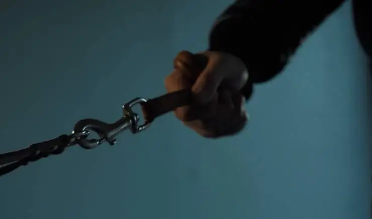 Статус (2023) через торрент скачать Статус (2023) фильм через торрент скачать