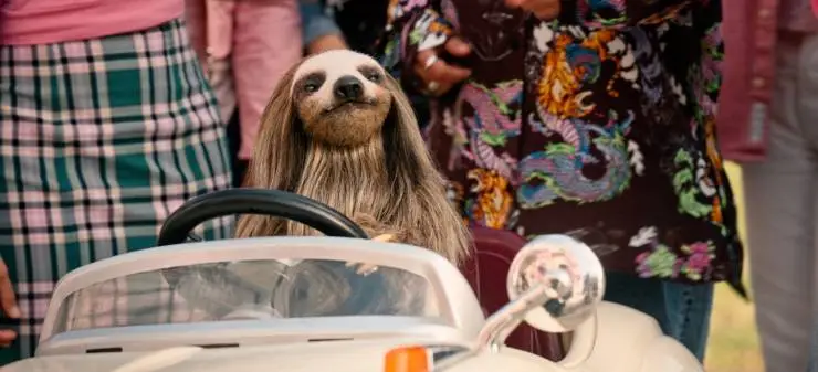 Мой ленивец-убийца (2023) через торрент скачать Мой ленивец-убийца (2023) фильм через торрент скачать