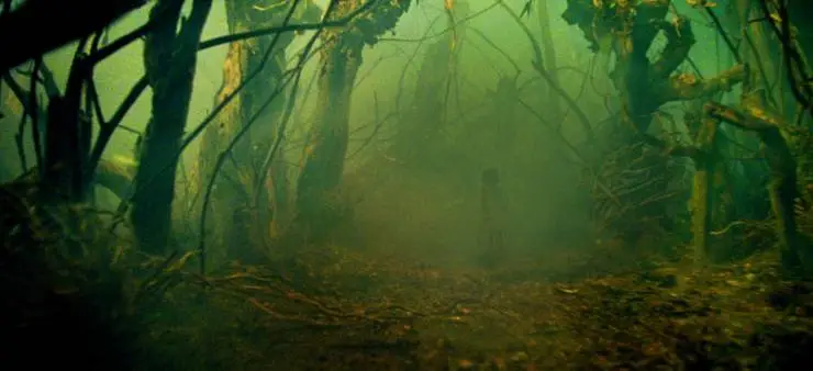 Кошмары лунного сада (2022) через торрент скачать Кошмары лунного сада (2022) фильм через торрент скачать