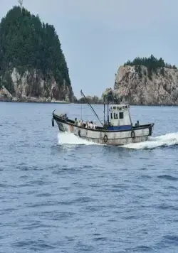 Контрабандистки (2023) через торрент скачать Контрабандистки (2023) фильм через торрент скачать