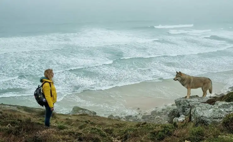 Комната чудес (2023) через торрент бесплатно Комната чудес (2023) фильм через торрент бесплатно