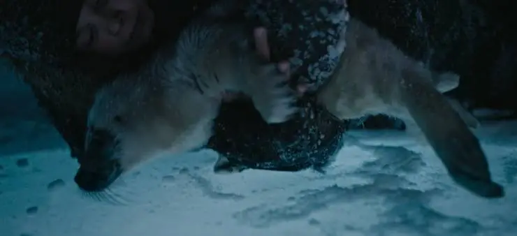 Дух Байкала (2023) в хорошем качестве через торрент Дух Байкала (2023) фильм в хорошем качестве через торрент