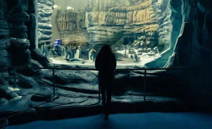 По правилам и без (2022) в хорошем качестве через торрент По правилам и без (2022) фильм в хорошем качестве через торрент