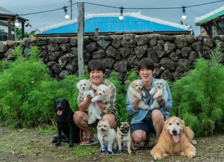 Мой пёс Руни (2023) через торрент скачать Мой пёс Руни (2023) фильм через торрент скачать