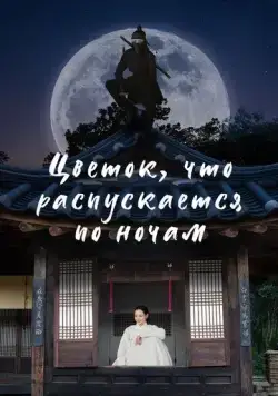 Цветок, что распускается по ночам / Bame pineun kkot 2024 скачать через торрент cериал в хорошем качестве