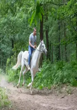 Красивее, чем ты (2022) в хорошем качестве через торрент Красивее, чем ты (2022) сериал в хорошем качестве через торрент