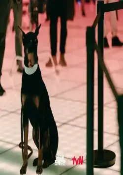 Военный прокурор Доберман (2022) через торрент бесплатно Военный прокурор Доберман (2022) сериал через торрент бесплатно