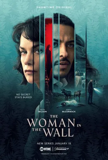 Женщина в стене / The Woman in the Wall (2023) cериал скачать через торрент в хорошем качестве