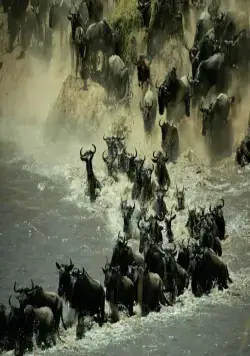 Добро пожаловать на Землю (2021) в хорошем качестве через торрент Добро пожаловать на Землю (2021) сериал в хорошем качестве через торрент