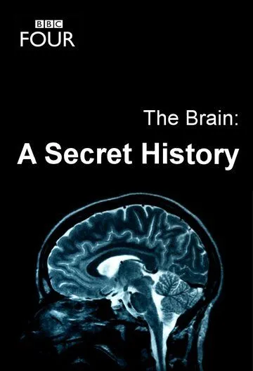 Мозг: Тайны сознания / The Brain: A Secret History (2011) cериал скачать через торрент в хорошем качестве