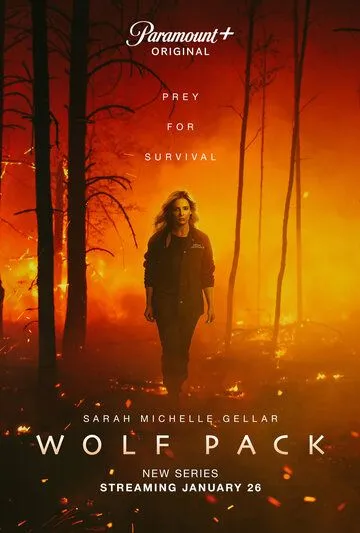 Волчья стая / Wolf Pack (2023) cериал скачать через торрент в хорошем качестве