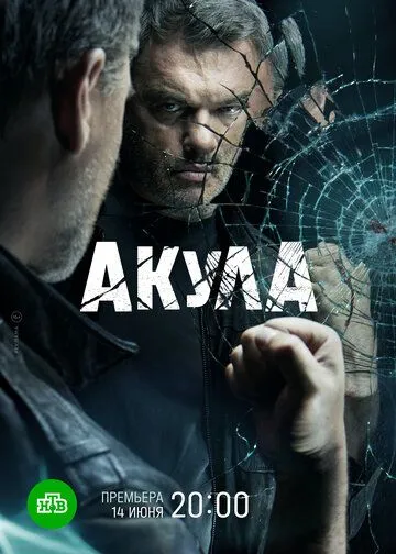 Акула (2021) cериал скачать через торрент в хорошем качестве