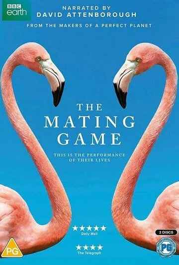 Брачная Игра / The Mating Game (2021) cериал скачать через торрент в хорошем качестве