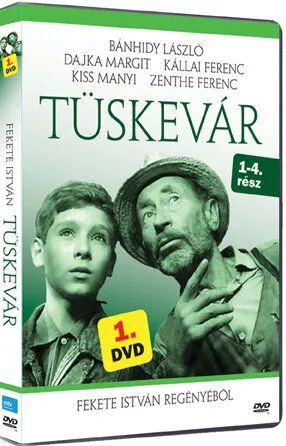 Терновая крепость / Tüskevár (1967) cериал скачать через торрент в хорошем качестве