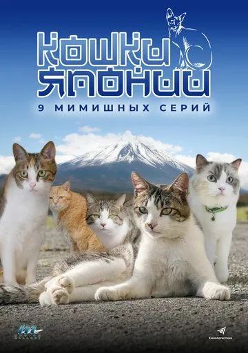 Кошки Японии / Cats of Japan (2017) cериал скачать через торрент в хорошем качестве