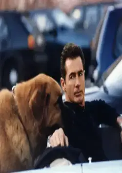 Собачье дело (2000) через торрент скачать Собачье дело (2000) сериал через торрент скачать