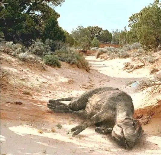 Прогулки с динозаврами: Баллада о большом Але (2000) в хорошем качестве через торрент Прогулки с динозаврами: Баллада о большом Але (2000) сериал в хорошем качестве через торрент