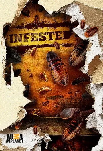 Вторжение паразитов / Infested! (2011) cериал скачать через торрент в хорошем качестве