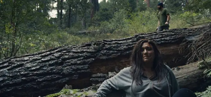 Тот, кто смотрит (2024) через торрент скачать Тот, кто смотрит (2024) фильм через торрент скачать