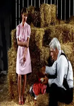 Кровавая жара (1983) в хорошем качестве через торрент Кровавая жара (1983) фильм в хорошем качестве через торрент