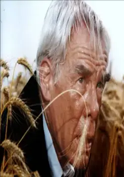 Кровавая жара (1983) через торрент бесплатно Кровавая жара (1983) фильм через торрент бесплатно