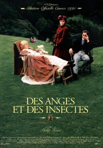 Ангелы и насекомые / Angels and Insects (1995) фильм скачать через торрент в хорошем качестве