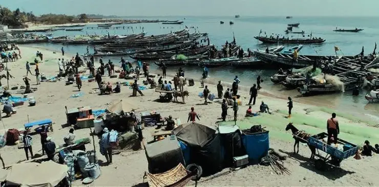 Салум (2021) в хорошем качестве через торрент Салум (2021) фильм в хорошем качестве через торрент