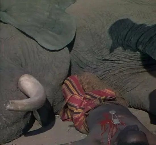 Копи царя Соломона (1950) через торрент бесплатно Копи царя Соломона (1950) фильм через торрент бесплатно