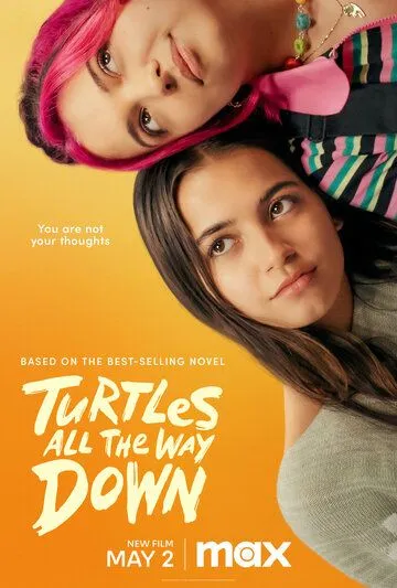 Черепахи – и нет им конца / Turtles All the Way Down (2024) фильм скачать через торрент в хорошем качестве