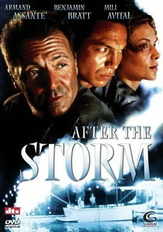 После шторма / After the Storm (2001) фильм скачать через торрент в хорошем качестве