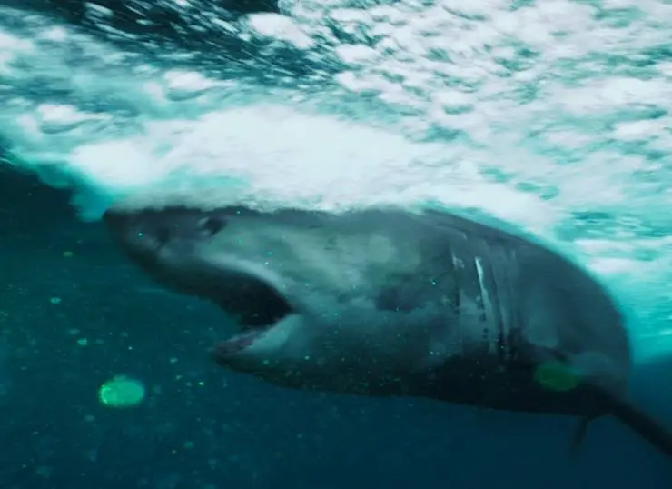 Открытое море: Монстр глубины (2022) через торрент скачать Открытое море: Монстр глубины (2022) фильм через торрент скачать