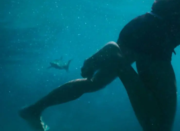 Открытое море: Монстр глубины (2022) через торрент бесплатно Открытое море: Монстр глубины (2022) фильм через торрент бесплатно