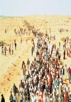 Изгнанники (2004) через торрент скачать Изгнанники (2004) фильм через торрент скачать