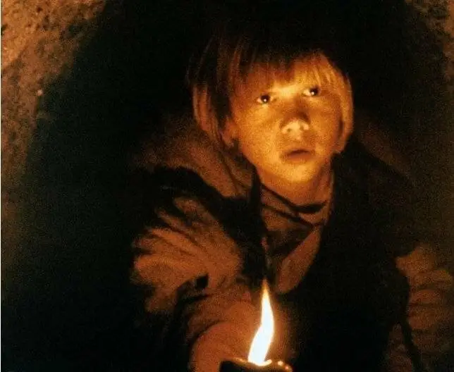 Братья Львиное сердце (1977) через торрент скачать Братья Львиное сердце (1977) фильм через торрент скачать