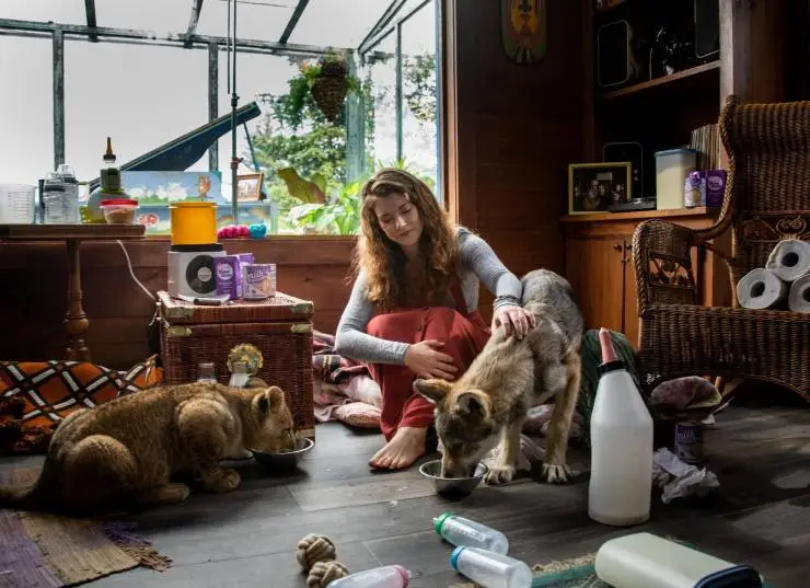 Волк и лев (2021) в хорошем качестве через торрент Волк и лев (2021) фильм в хорошем качестве через торрент