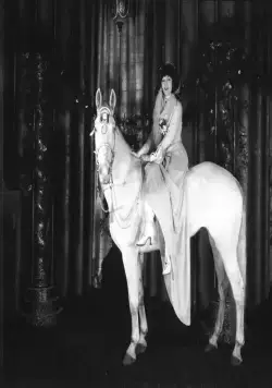 Соблазнительница (1926) через торрент бесплатно Соблазнительница (1926) фильм через торрент бесплатно