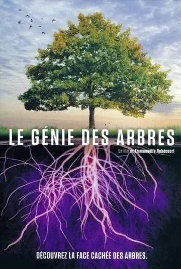 Деревья: гении мира природы / Le génie des arbres (2020) фильм скачать через торрент в хорошем качестве