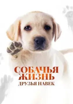 Собачья жизнь: Друзья навек / Zai jian, Li Kele (2023) фильм скачать через торрент в хорошем качестве