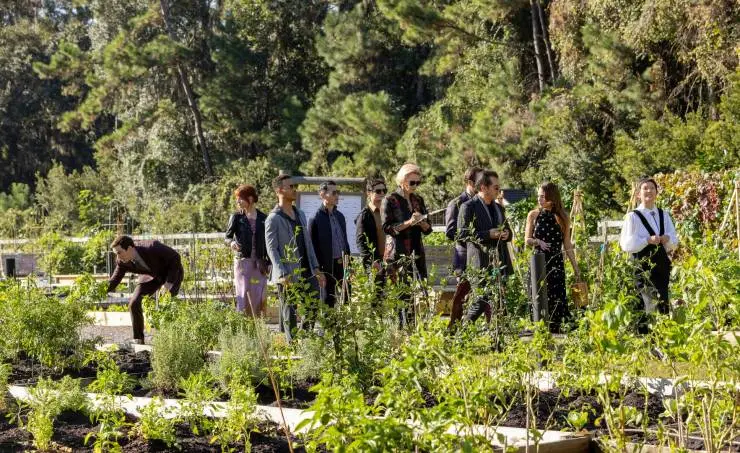 Меню (2022) через торрент бесплатно Меню (2022) фильм через торрент бесплатно