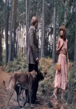 Собаки (1978) через торрент бесплатно Собаки (1978) фильм через торрент бесплатно