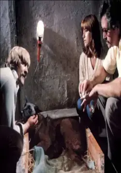 Собаки (1978) в хорошем качестве через торрент Собаки (1978) фильм в хорошем качестве через торрент