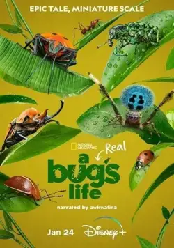 Приключения настоящего Флика / A Real Bug's Life (2024) cериал скачать через торрент в хорошем качестве