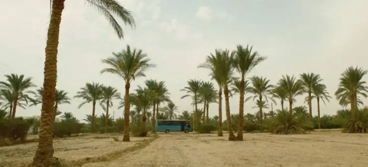 Позывной «Барон» (2020) через торрент скачать Позывной «Барон» (2020) фильм через торрент скачать