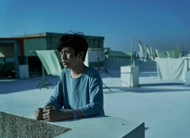 Тихий лес (2020) через торрент бесплатно Тихий лес (2020) фильм через торрент бесплатно