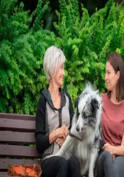 Знакомьтесь, пёс (2022) через торрент бесплатно Знакомьтесь, пёс (2022) фильм через торрент бесплатно