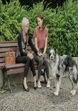 Знакомьтесь, пёс (2022) через торрент скачать Знакомьтесь, пёс (2022) фильм через торрент скачать