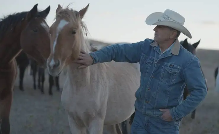 Лошади Фрэнка (2022) через торрент скачать Лошади Фрэнка (2022) фильм через торрент скачать