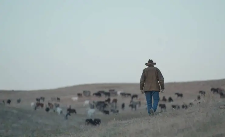 Лошади Фрэнка (2022) в хорошем качестве через торрент Лошади Фрэнка (2022) фильм в хорошем качестве через торрент